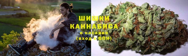 гидропоника Горняк